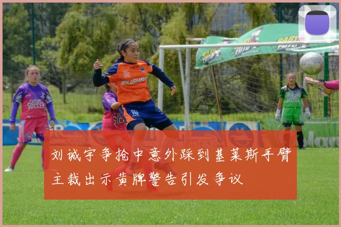 刘诚宇争抢中意外踩到基莱斯手臂主裁出示黄牌警告引发争议